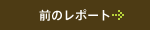 次のレポート